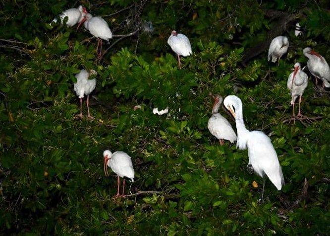 El turismo en el municipio de Carmen ha quedado rezagado