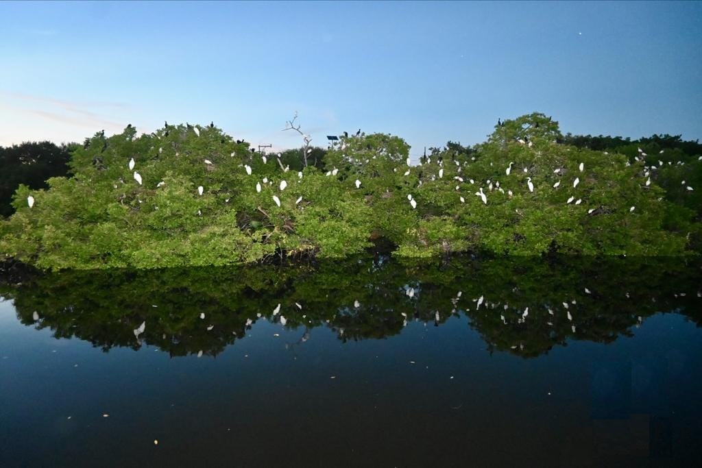 El turismo en el municipio de Carmen ha quedado rezagado