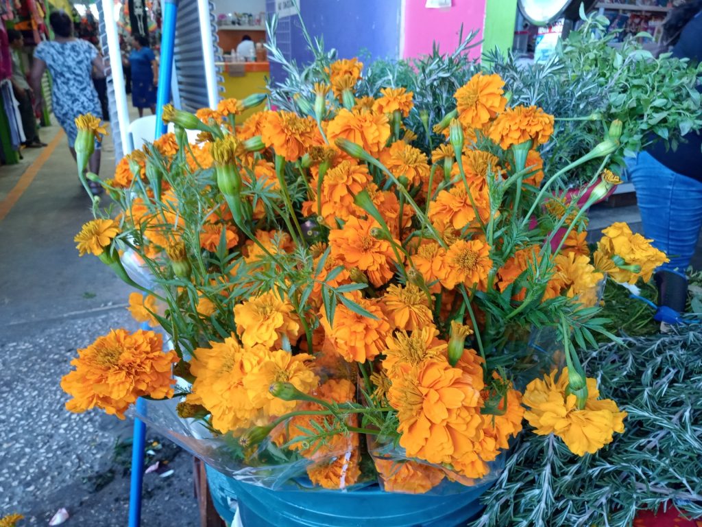 Florerías de Ciudad del Carmen ven repunte en sus ventas