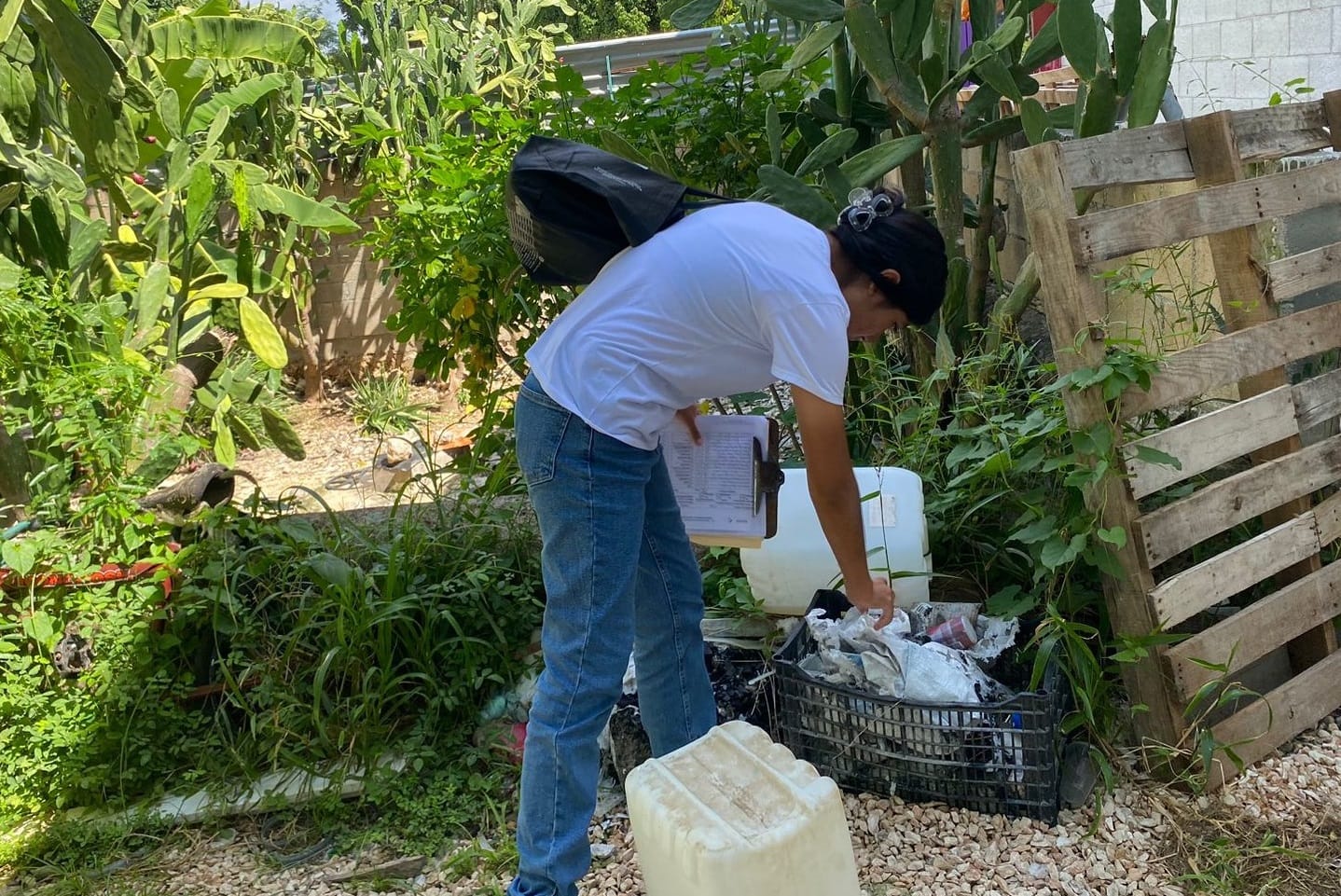 Eliminación de criaderos de mosquitos