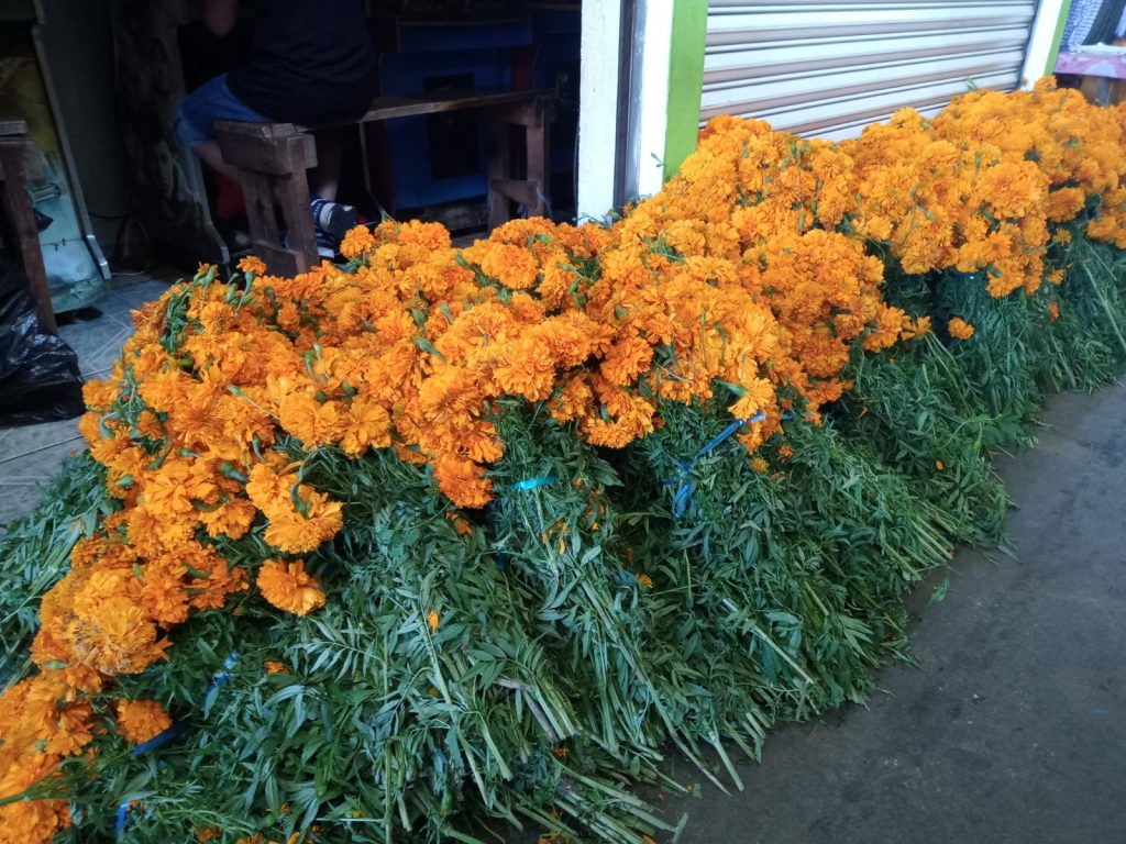 Florerías de Ciudad del Carmen ven repunte en sus ventas