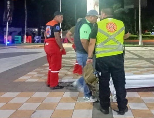 Solo ramas desgajadas de árboles dejó el Frente Frio número 06 a su paso en Ciudad del Carmen