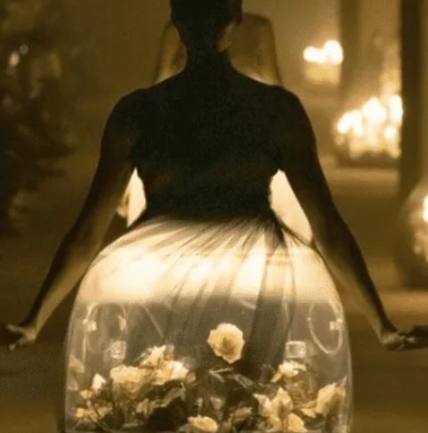 Vestidos con mariposas vivas