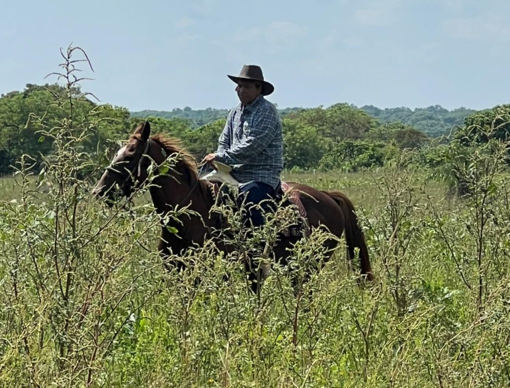Gobierno de Campeche pone orden en el Congreso del estado