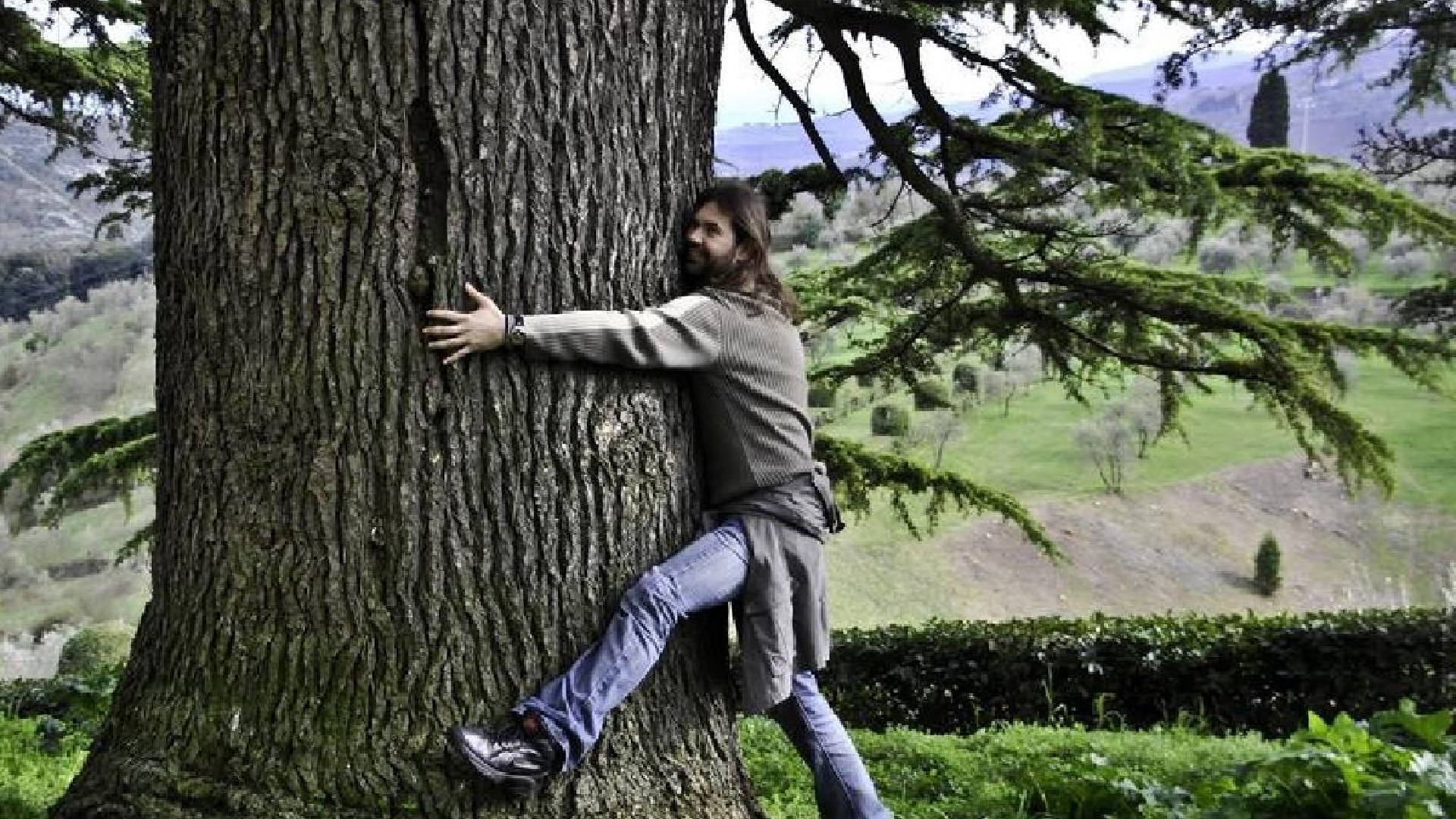 Masivos ‘abrazos antiestrés’ dañan los árboles de El Monte Cabezón en Cantabria, España.