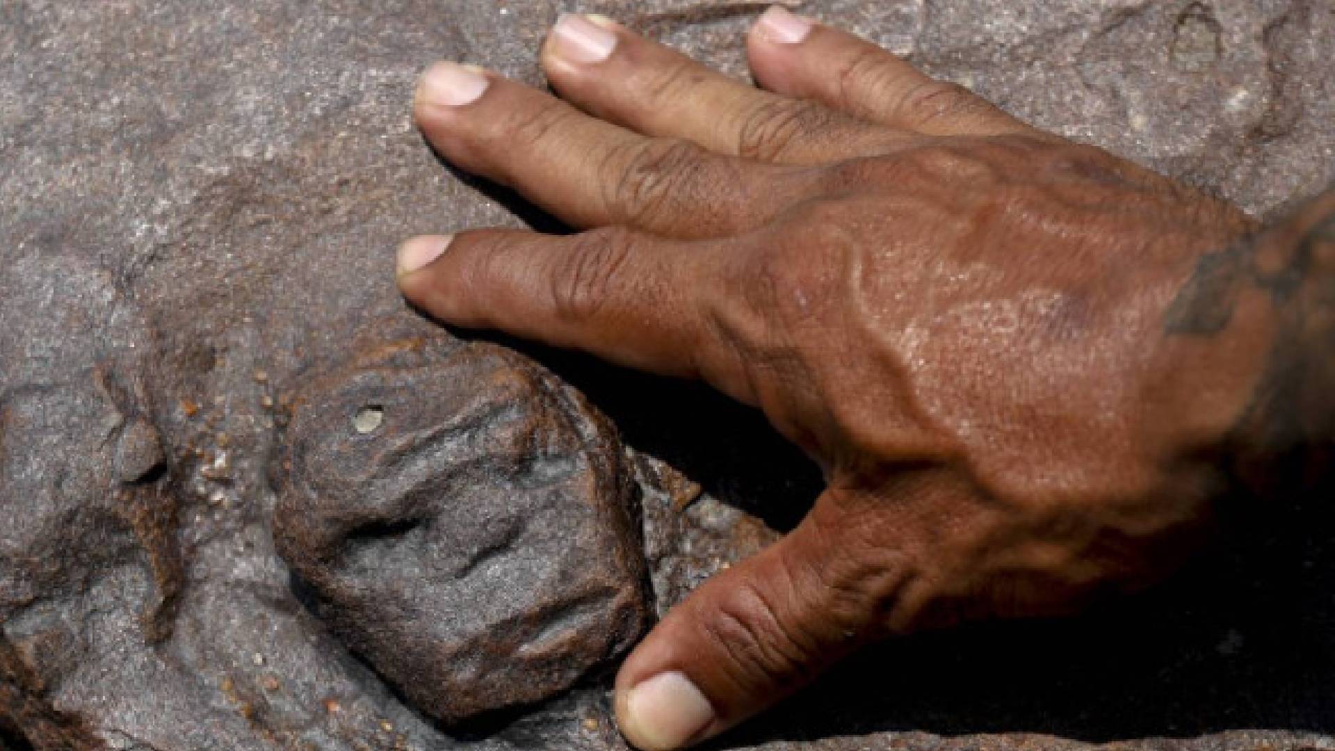 Descubren grabados rupestres en Amazonía debido a sequía extrema.