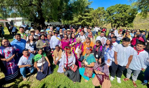  Universidad de las Lenguas Indígenas de México 