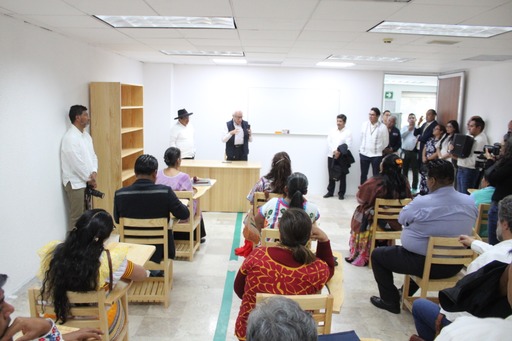  Universidad de las Lenguas Indígenas de México 