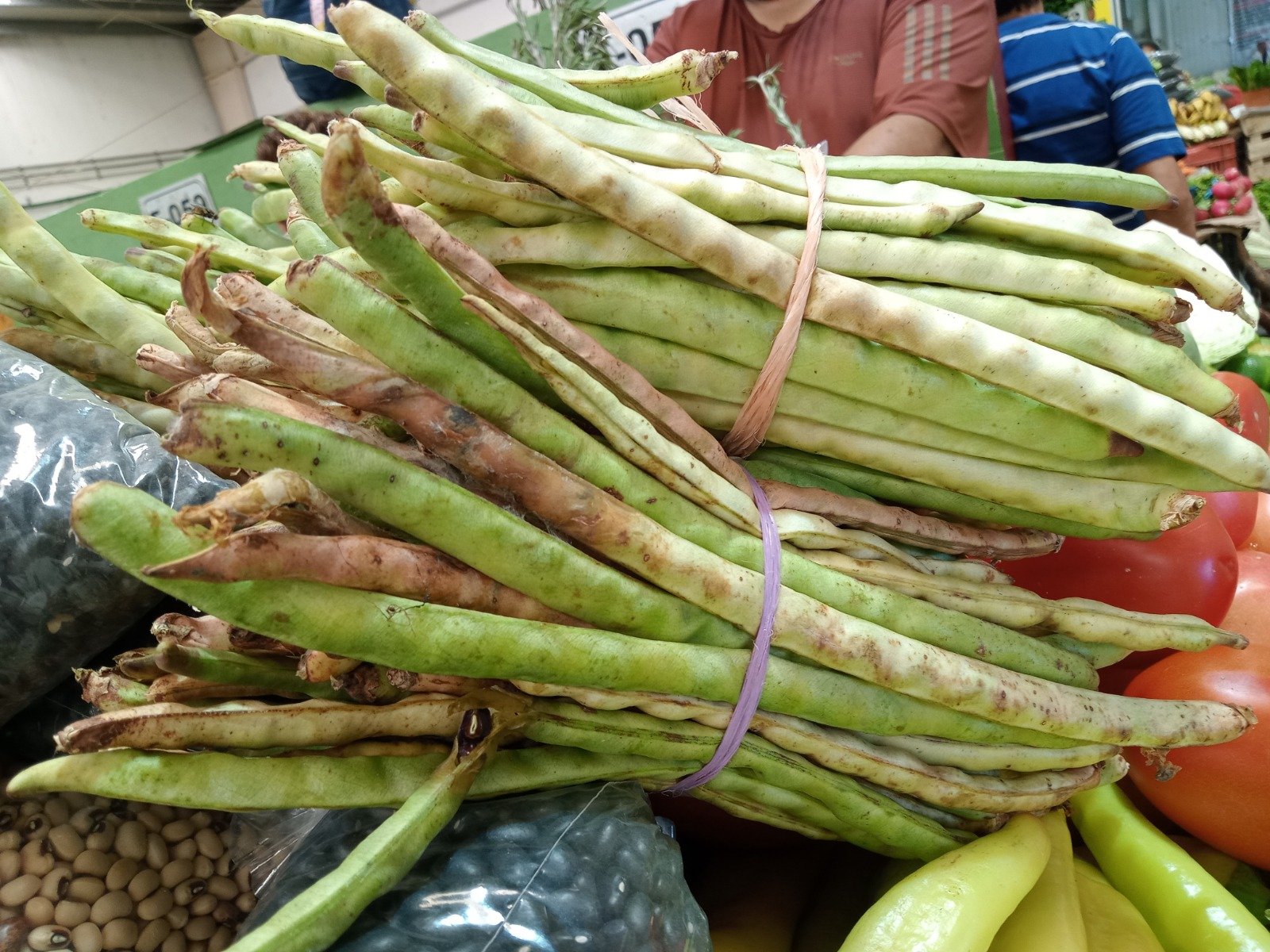 Mazo de Xpelón hasta 50 pesos en el mercado de Ciudad del Carmen para elaborar tamales