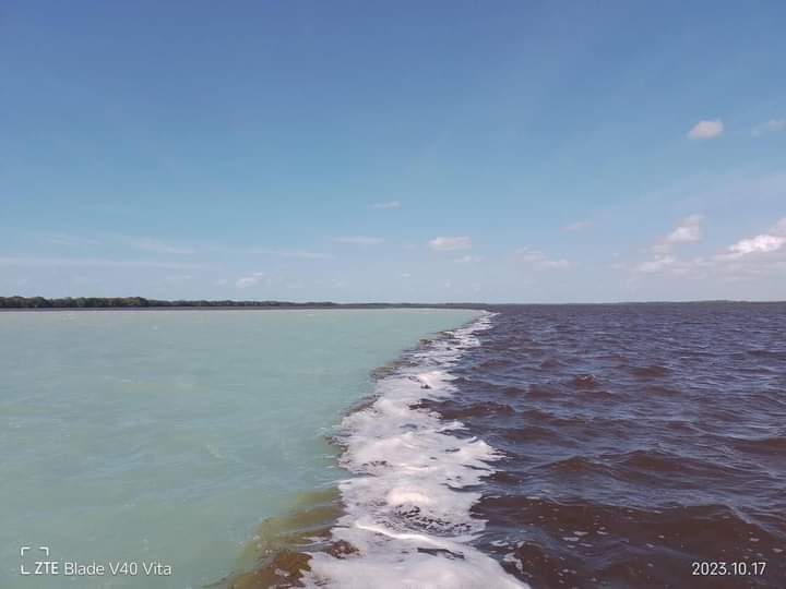 Asombroso fenómeno en la Ría de Celestún, encuentro de aguas.