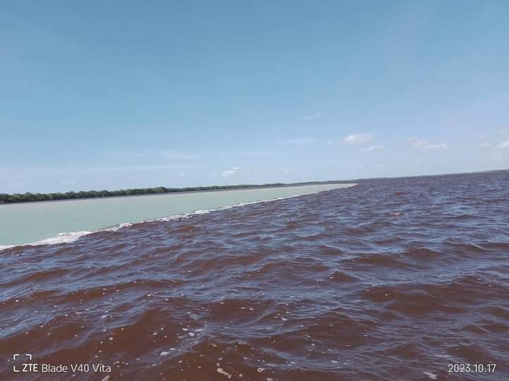 Increíble fenómeno natural en Celestún: aguas no se mezclan.