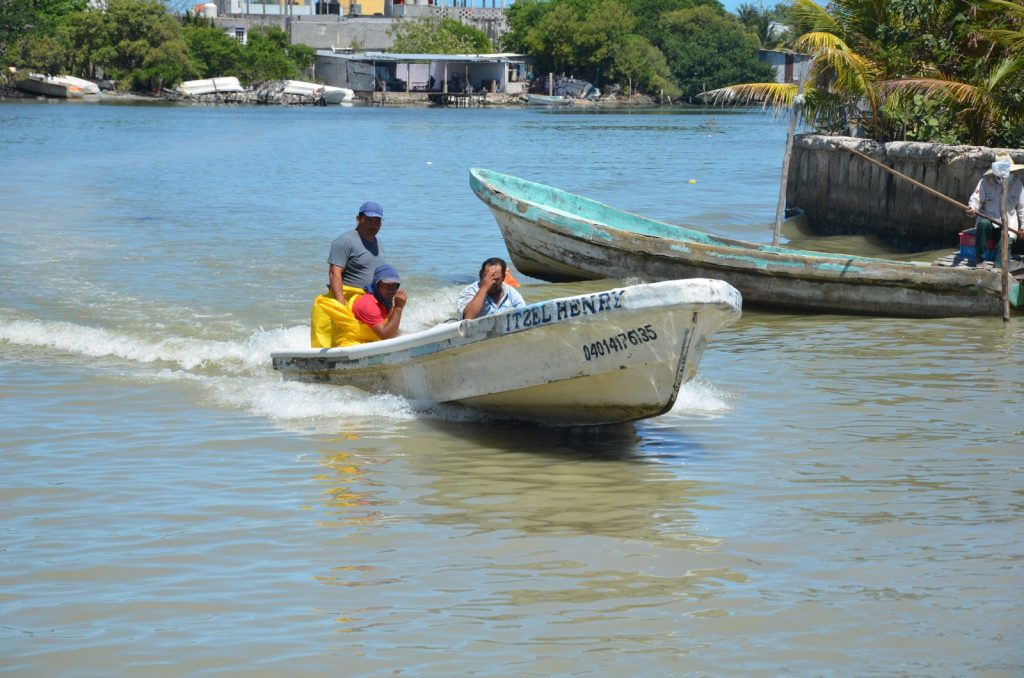Sobreexplotación del camarón siete barbas se evitaría con la modificación a la veda: En Ciudad del Carmen