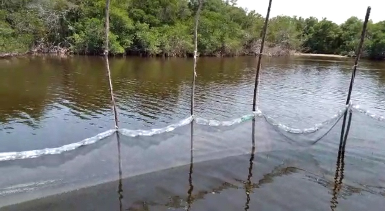 Estero Pargo sitio turístico biodiverso de pesca deportiva