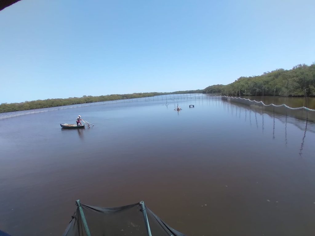 Estero Pargo sitio turístico biodiverso de pesca deportiva