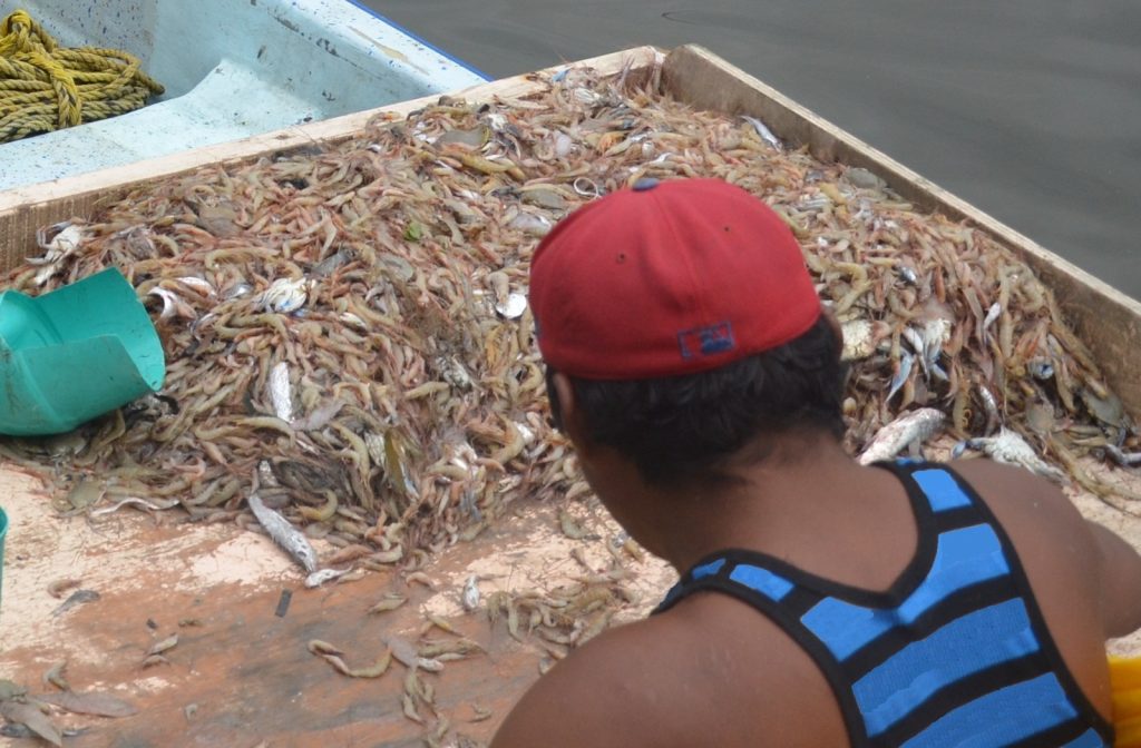 Mal tiempo paralizó la pesca ribereña en Ciudad del Carmen