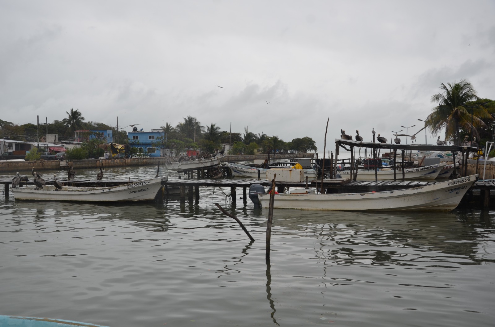 Mal tiempo paralizó la pesca ribereña en Ciudad del Carmen