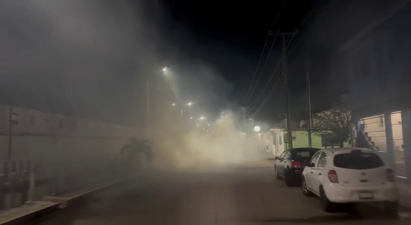 Se incrementa casos de dengue en los municipios de Carmen y Palizada