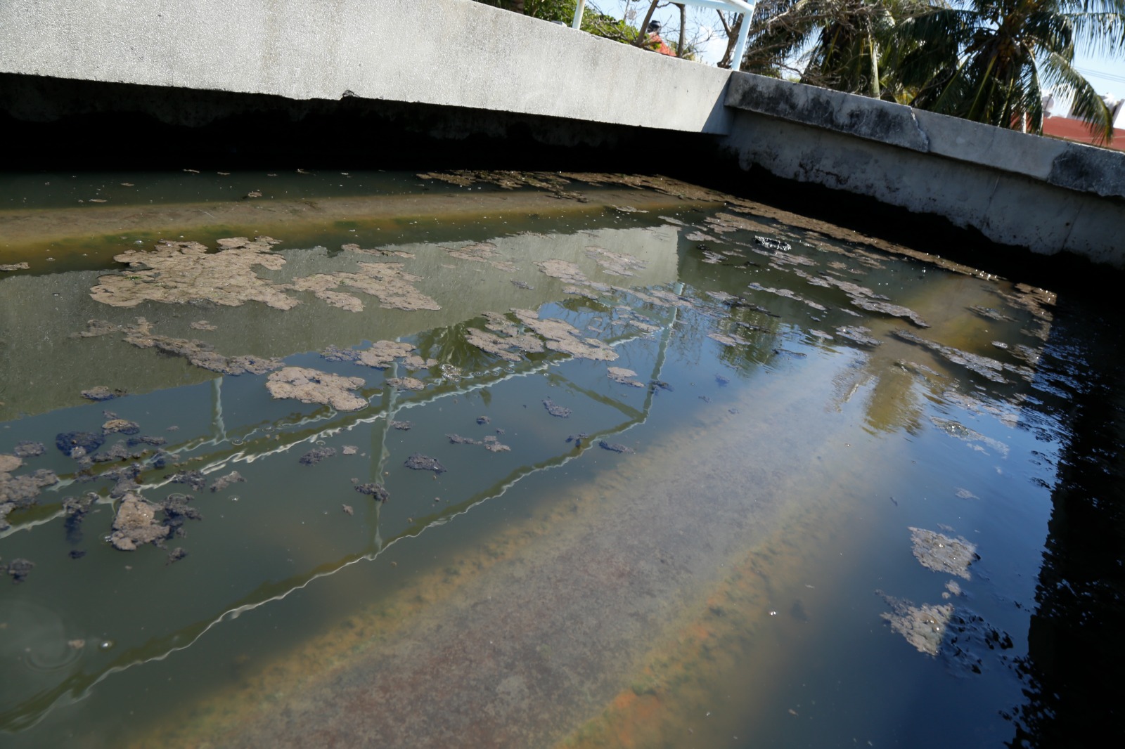 Inoperatividad de las plantas de tratamiento de aguas negras en Ciudad del Carmen