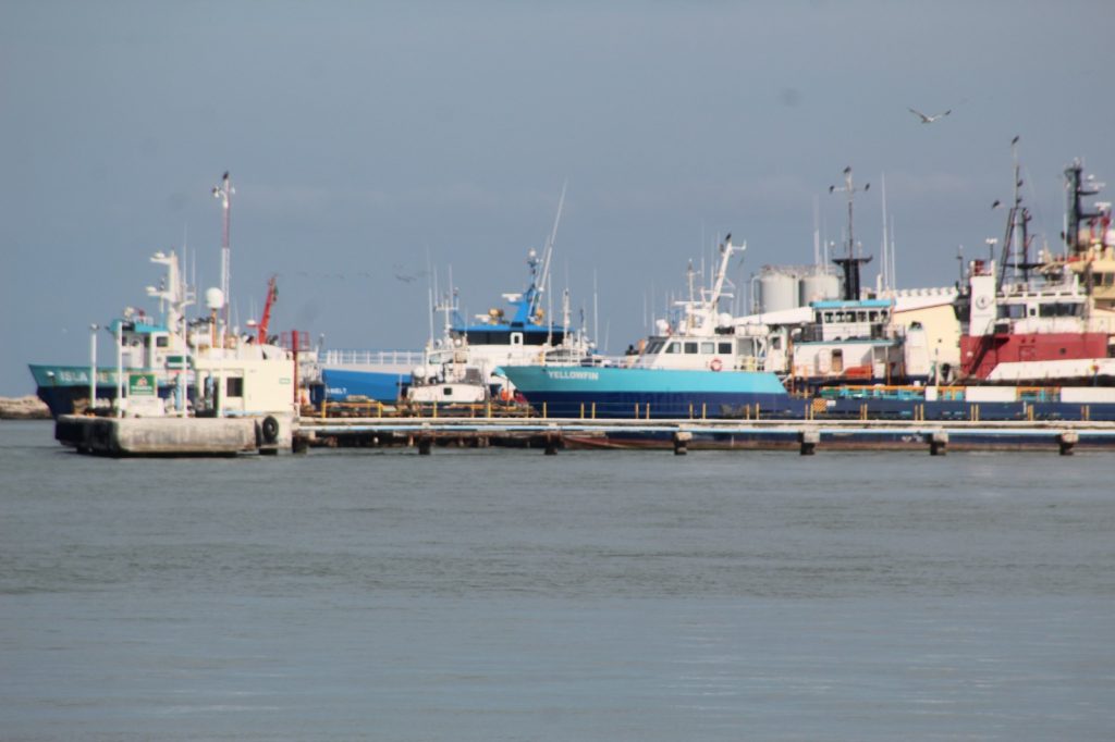 Dragado permanente de las dársenas del Puerto Isla del Carmen