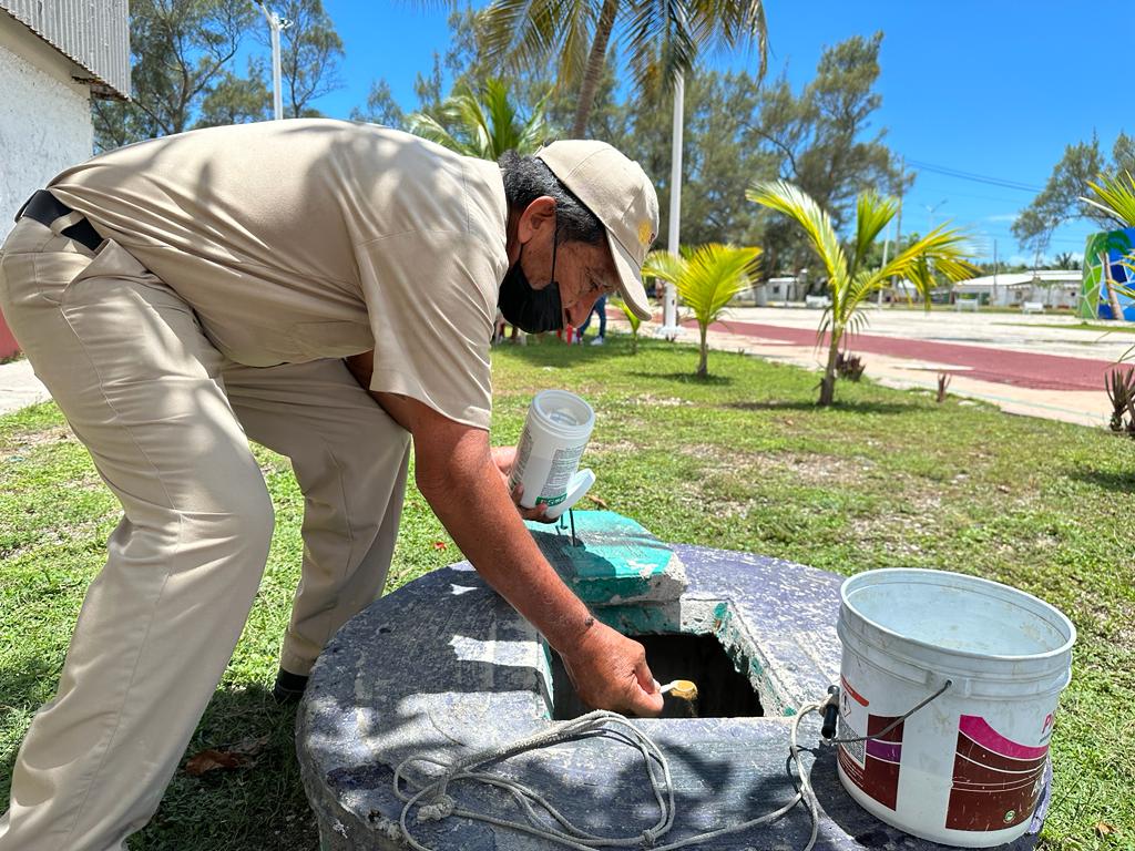 Se incrementa casos de dengue en los municipios de Carmen y Palizada