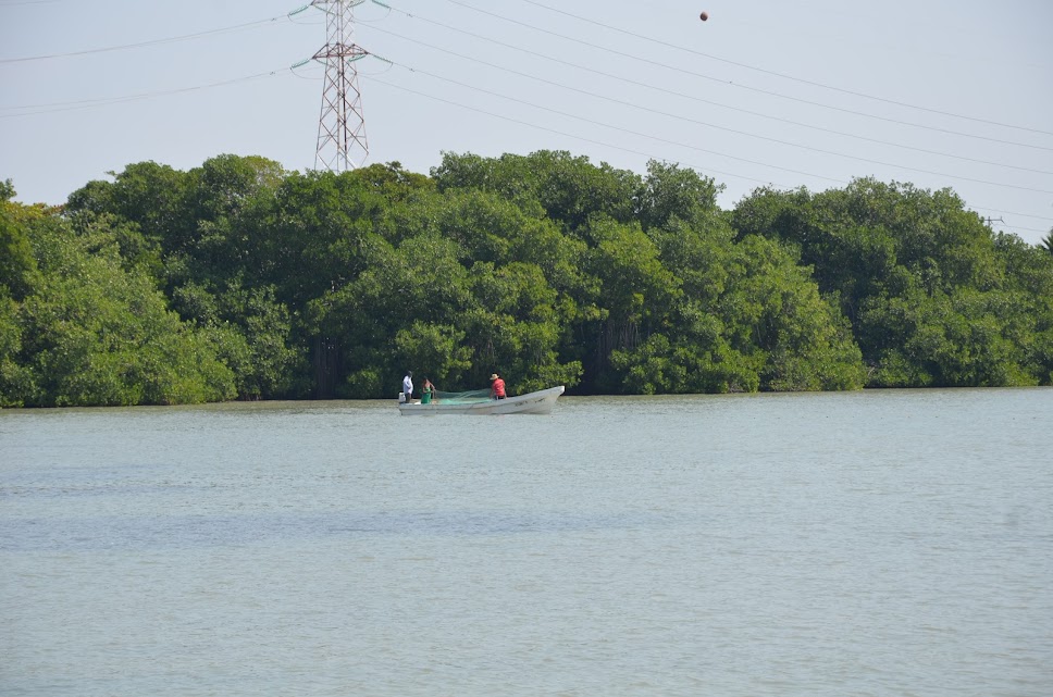 Inoperatividad de las plantas de tratamiento de aguas negras en Ciudad del Carmen