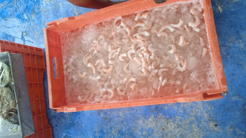 Mal tiempo paralizó la pesca ribereña en Ciudad del Carmen