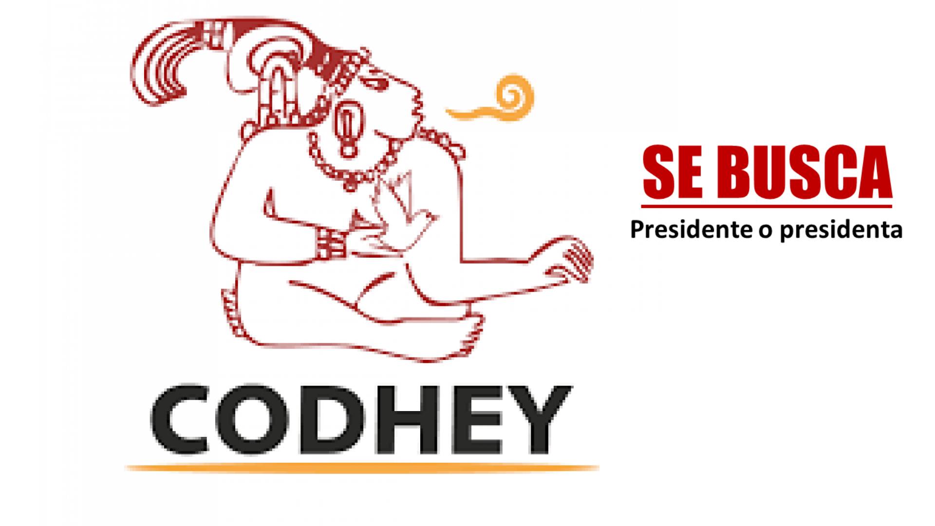 Fue aprobado proyecto de convocatoria de la Codhey para designación de la presidenta o presidente.