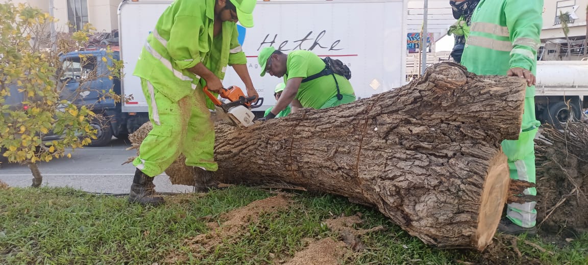 SSPC informa avances, al octavo día de trabajos en atención a afectaos por Otis