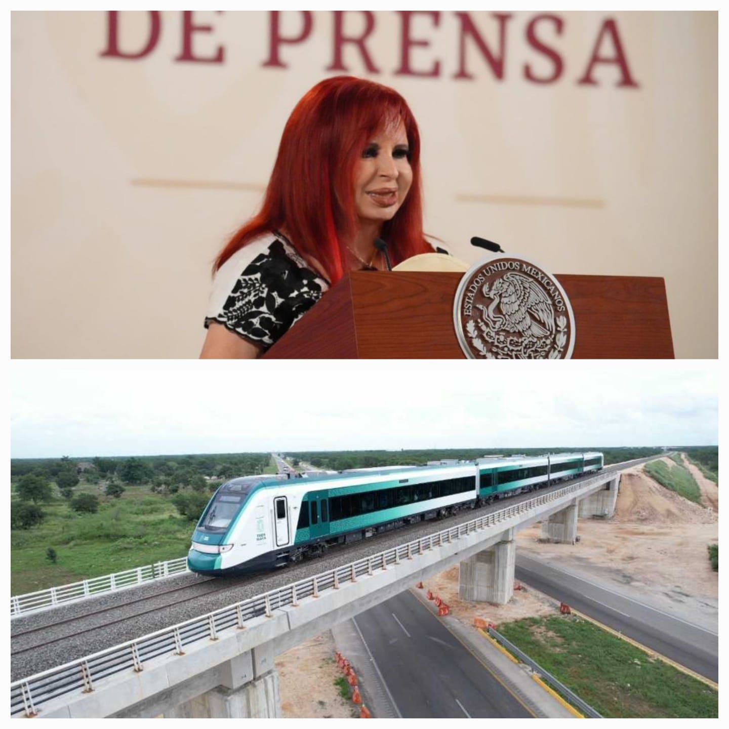 El 15 de diciembre se inaugurará Tren Maya: Layda Sansores