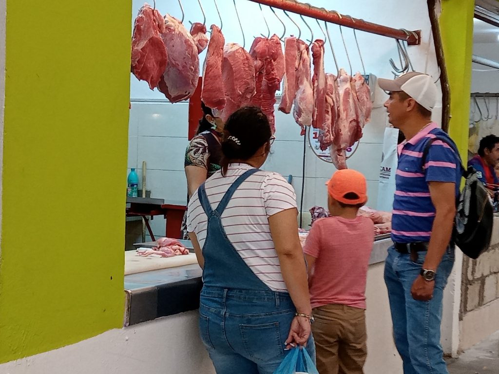 Reportan ventas normales de carne de cerdo y pollo en el mercado principal de Ciudad del Carmen