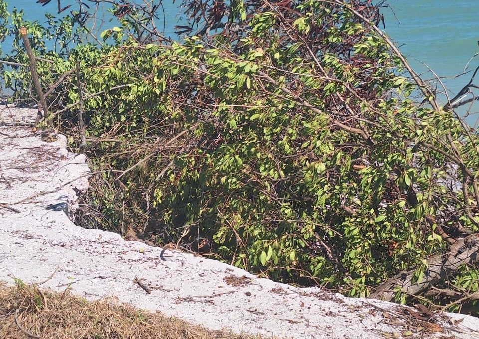 Se agrava la erosión de la playa en Punta San Julián de Ciudad del Carmen