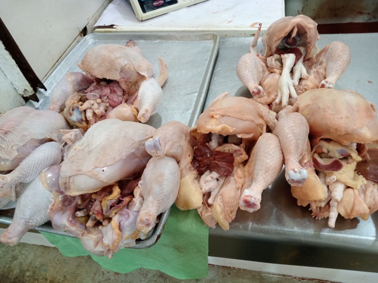 Venta de pavos criollos en el mercado principal de Ciudad del Carmen