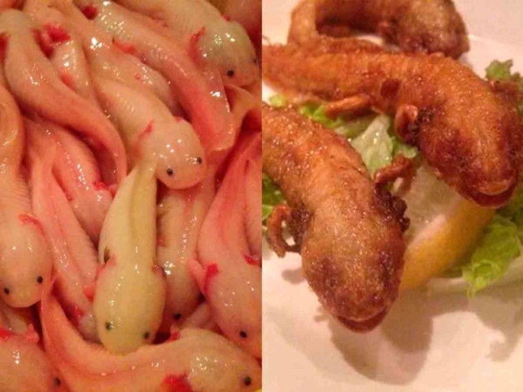 En Japón comen Ajolotes