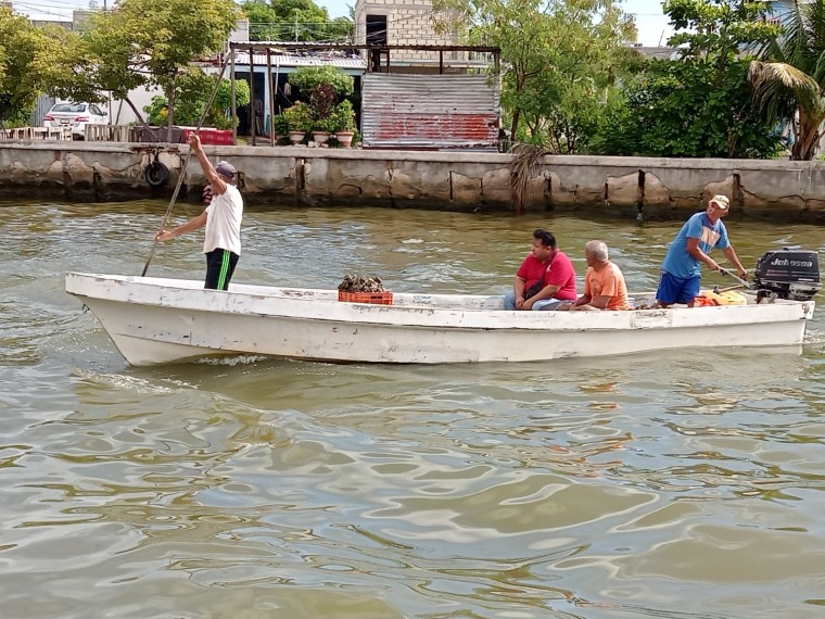 Necesario desazolve de Arroyo Grande: En Ciudad del Carmen