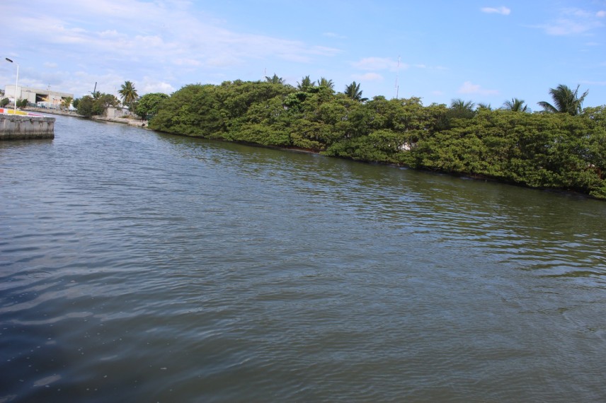 Contaminación de la Laguna de Términos por falta de plantas de tratamiento de aguas negras: En Ciudad del Carmen
