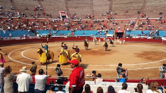 AMLO propone Consulta Ciudadana para resolver tema de corrida de toros en la Plaza México