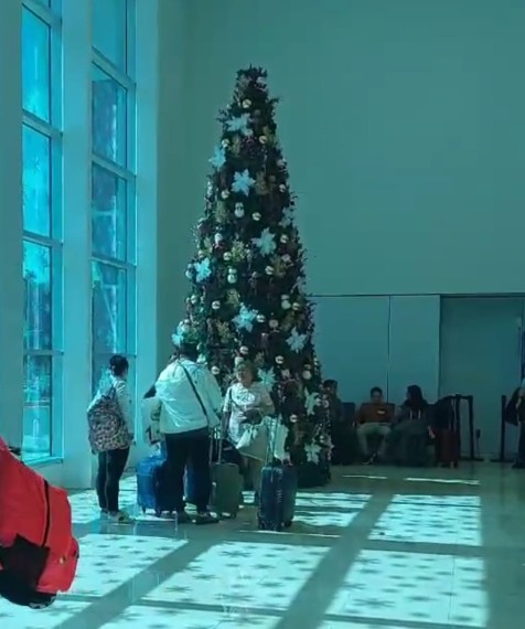 Un árbol de 8 metros de altura, y la representación del nacimiento de Jesús, dan la bienvenida a más de 10 mil pasajeros 