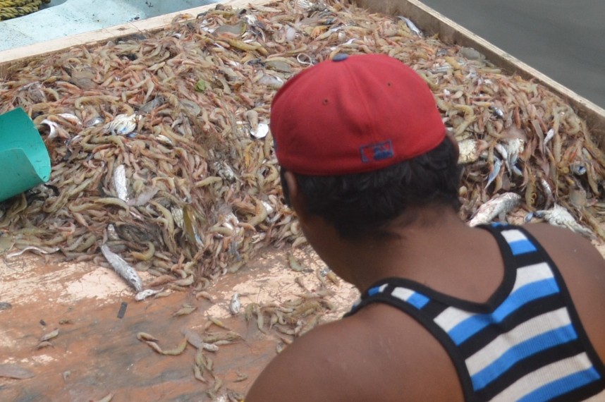Autoridades de pesca deben poner más atención a la actividad pesquera en el municipio de Carmen