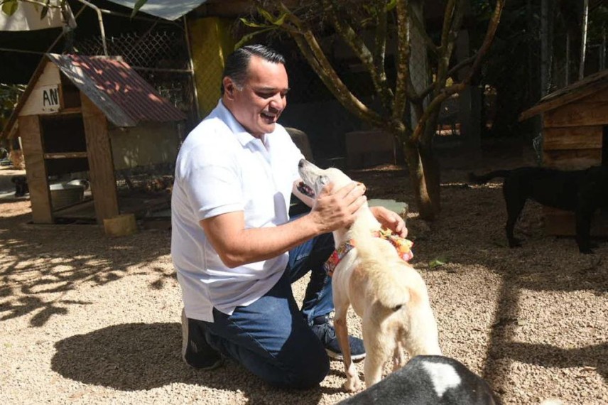 Refugio para animales cuentan conmigo: Renán Barrera