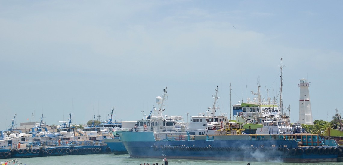 Avanzan trabajos de modernización en el muelle 17 del Puerto Isla del Carmen