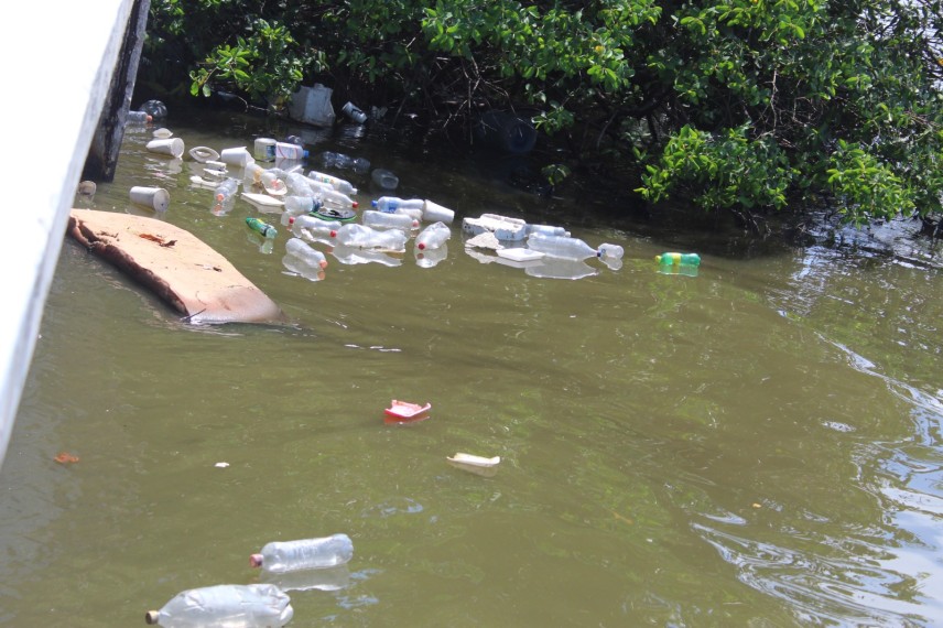 Contaminación de la Laguna de Términos por falta de plantas de tratamiento de aguas negras: En Ciudad del Carmen