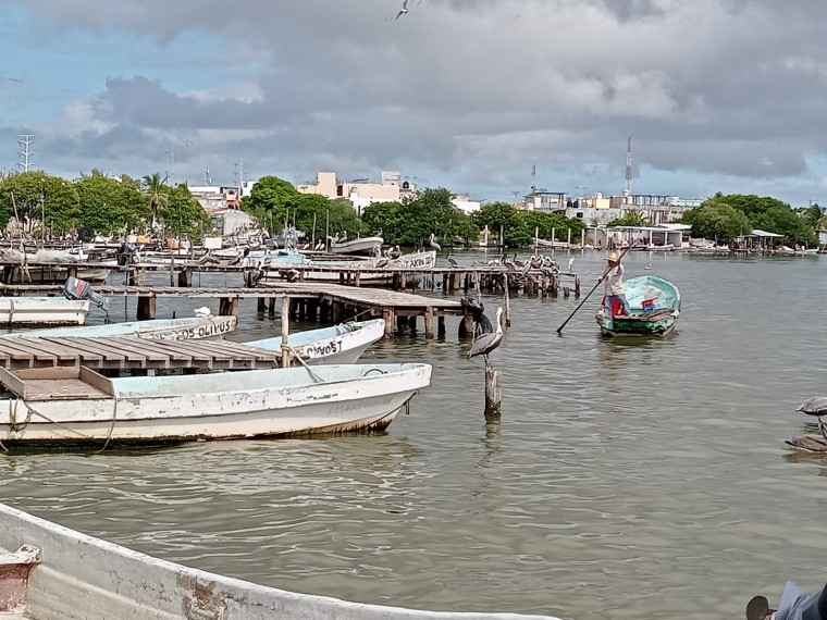 Necesario desazolve de Arroyo Grande: En Ciudad del Carmen