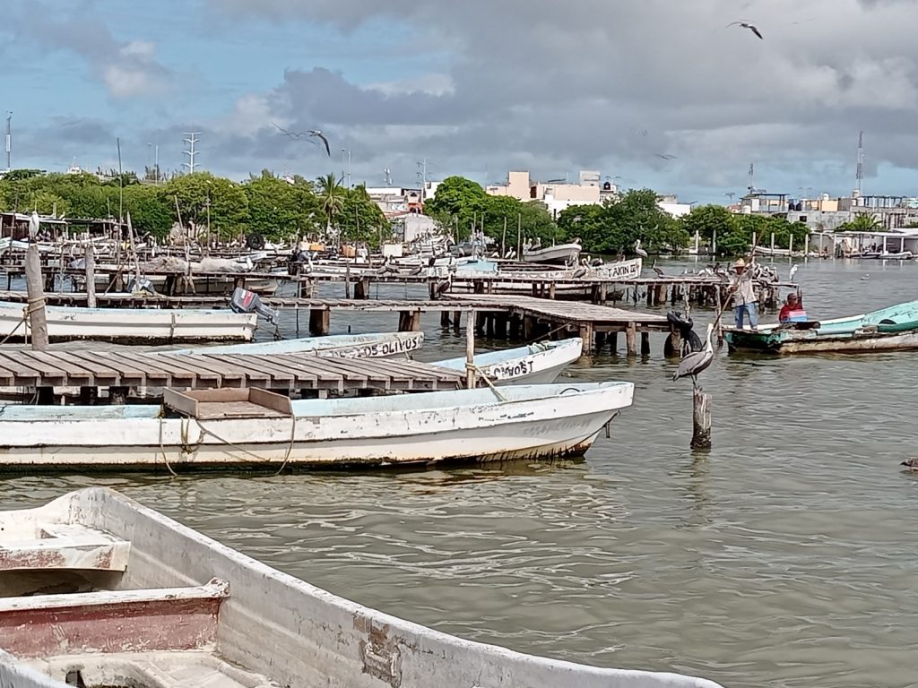 Se deben restaurar todos los muelles de madera de la colonia 20 de noviembre: En Ciudad del Carmen