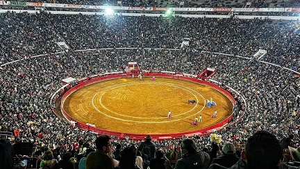 Vuelven las corridas de toros en la Plaza México, determino la Suprema Corte de Justicia de la Nación