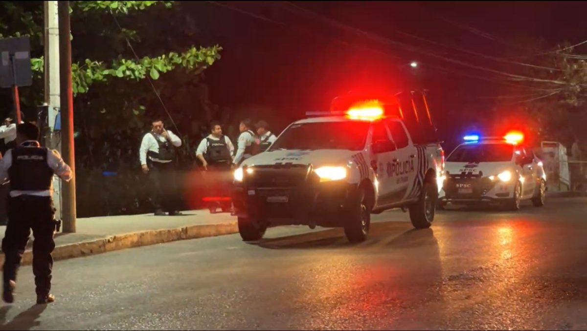 Ejecuciones entre grupos delictivos no impacta al sector empresarial