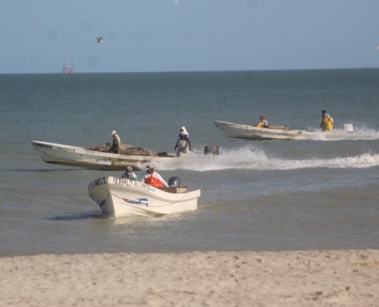 Sector pesquero ribereño en riesgo de desaparecer