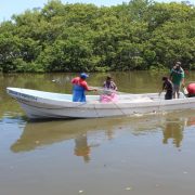 Vigilancia en la Laguna de Términos evitaría la depredación de especies marinas