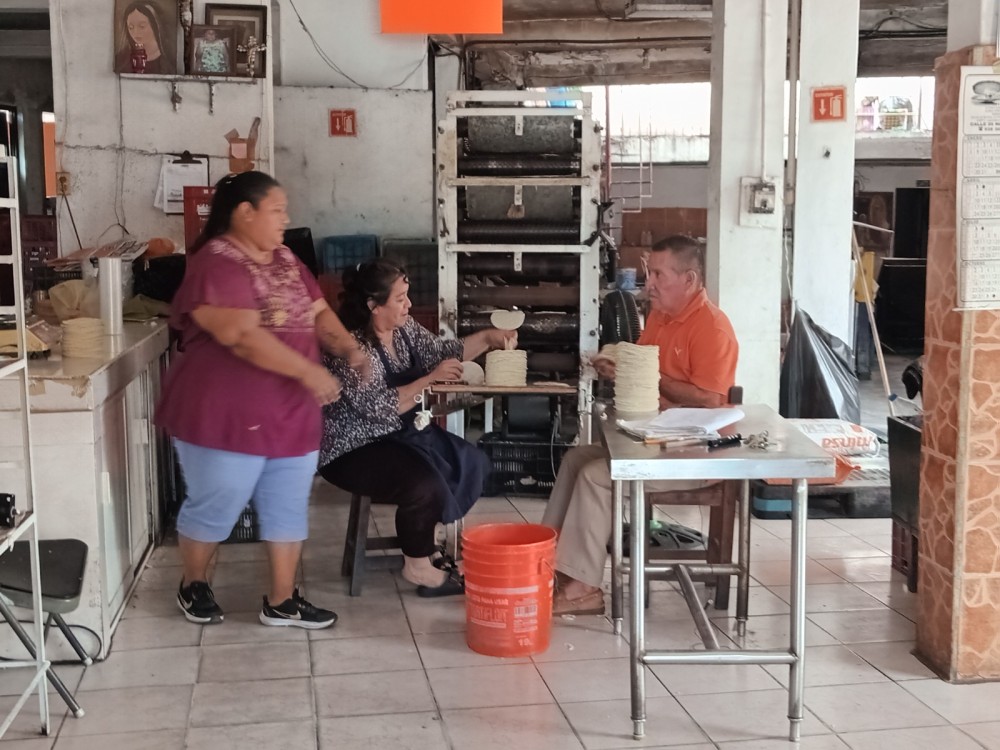 Precio de la harina para la elaboración de las tortillas podrá subir en febrero