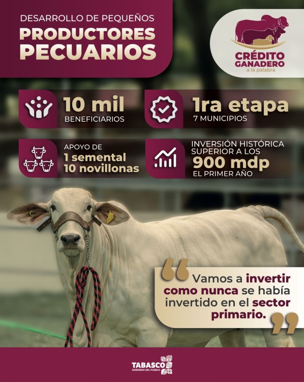 Productores precuarios