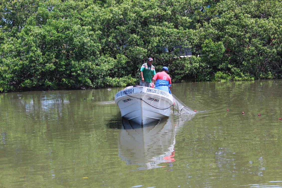 Vigilancia en la Laguna de Términos evitaría la depredación de especies marinas